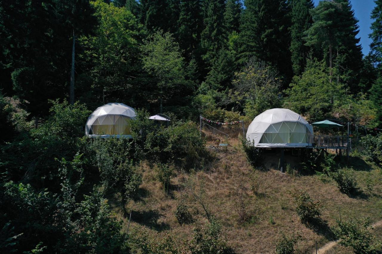 Готель Ajara Glamping Kokotauri Keda Екстер'єр фото