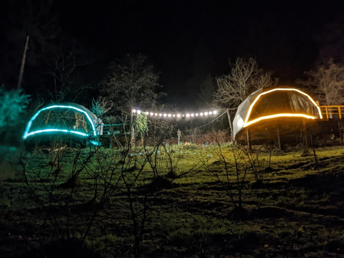 Готель Ajara Glamping Kokotauri Keda Екстер'єр фото