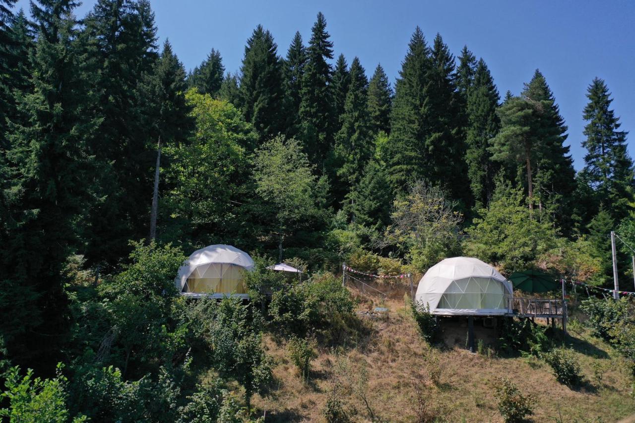 Готель Ajara Glamping Kokotauri Keda Екстер'єр фото